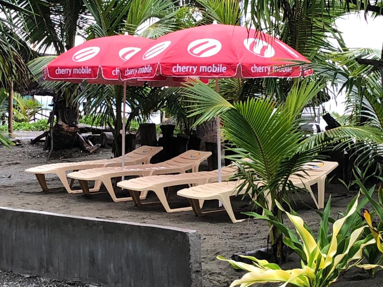 North Shore Surf Camp Ξενοδοχείο Baler Εξωτερικό φωτογραφία